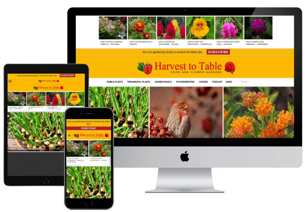 Harvest to Table Mocks